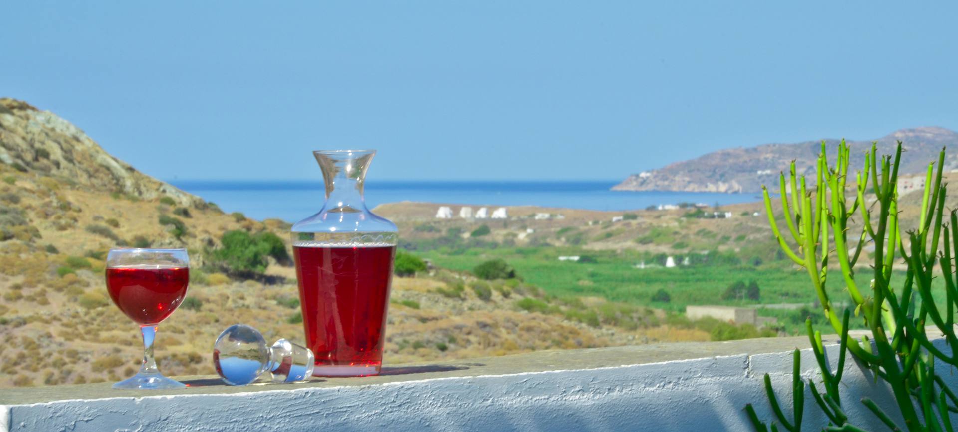 Hotel Naxos Filoxenia